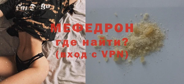 индика Гатчина