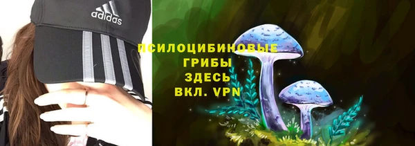 МДПВ Аркадак