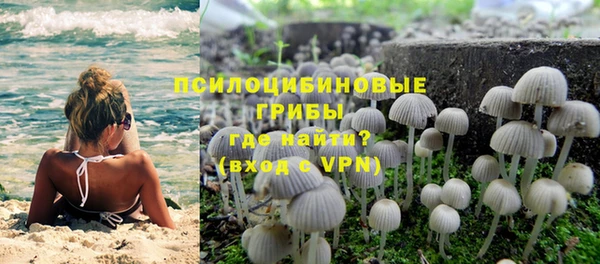 МДПВ Аркадак
