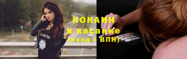 индика Гатчина