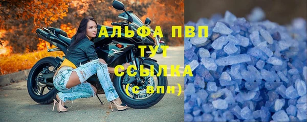 спайс Арсеньев