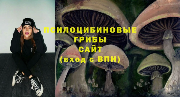 мет Армянск