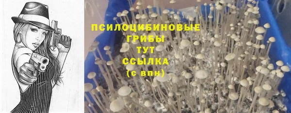спайс Арсеньев