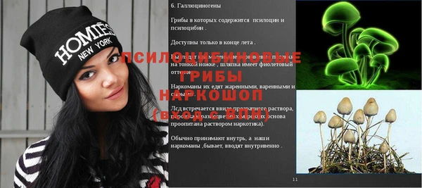 спайс Арсеньев