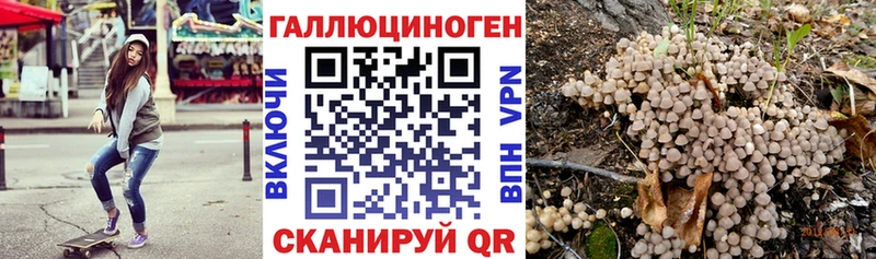 Псилоцибиновые грибы Psilocybe  ОМГ ОМГ ссылки  Кашин 